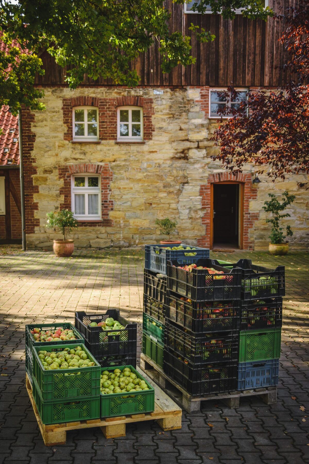 Gestapelte Obstkisten voller Äpfel und Birnen auf dem sonnigen Hof